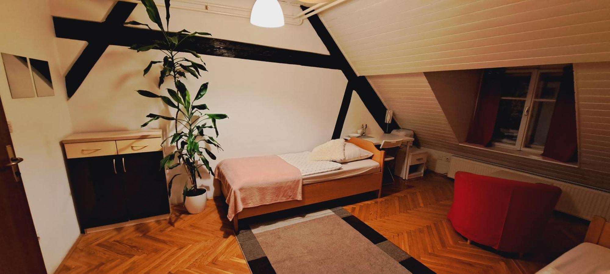 Viksi Hostel Ljubljana Oda fotoğraf