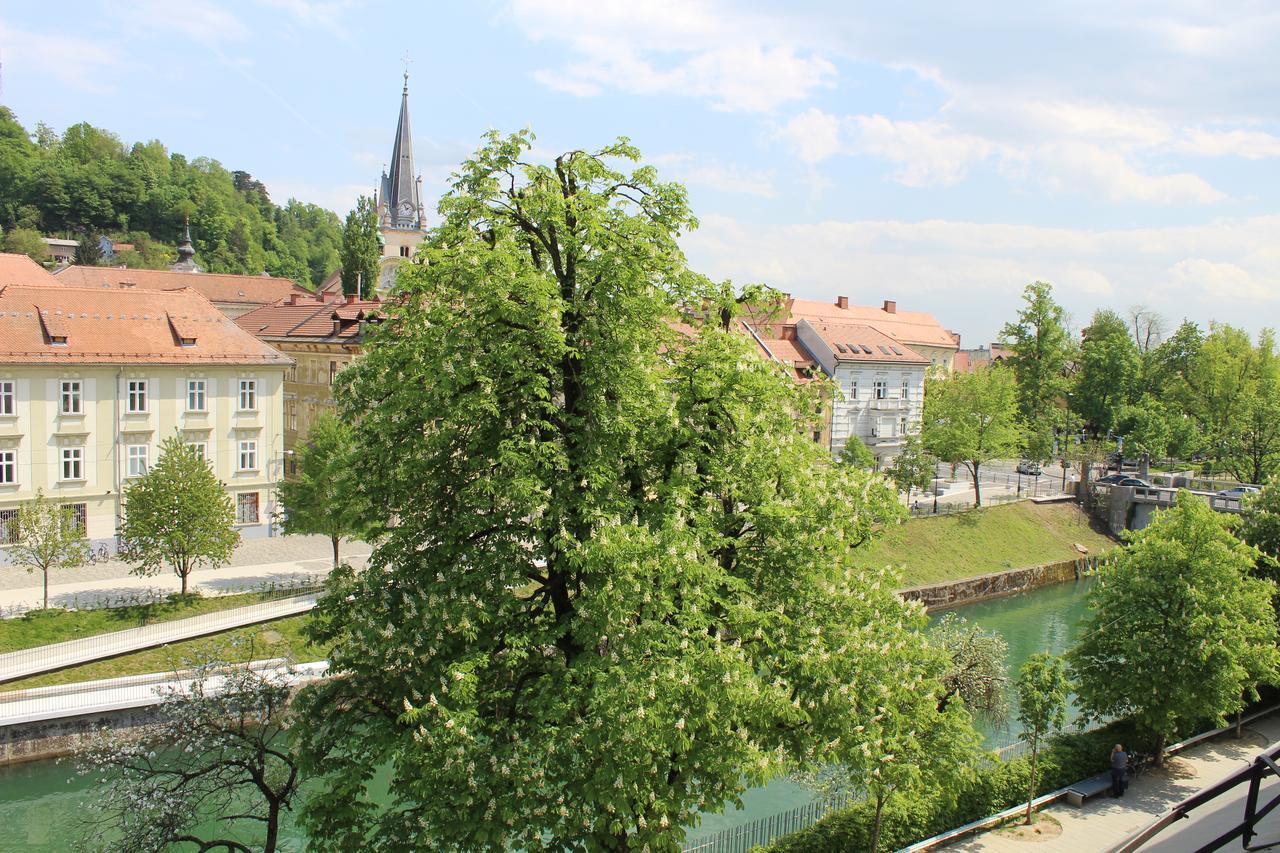 Viksi Hostel Ljubljana Dış mekan fotoğraf